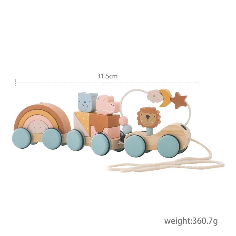 Wooden Train Sets