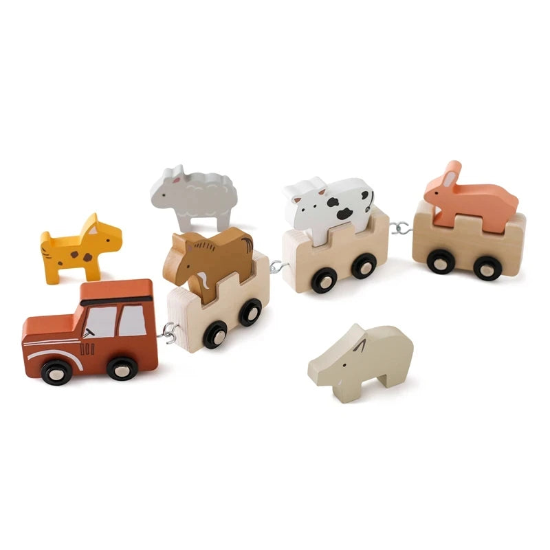Wooden Train Sets